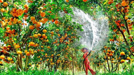 Phát huy lợi thế cạnh tranh điểm đến du lịch tỉnh Tiền Giang