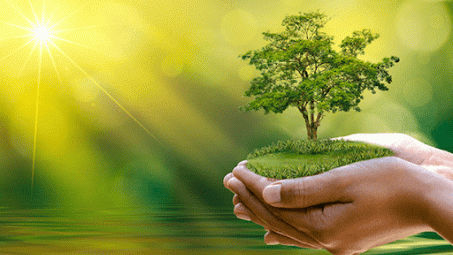 Sự phù hợp về mục tiêu giữa Chương Môi trường trong CPTPP và Chiến lược phát triển bền vững của Việt Nam