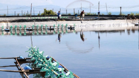 Hoàn thiện chính sách đầu tư phát triển ngành Thủy sản