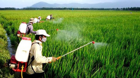 Nghiên cứu thị trường thuốc bảo vệ thực vật trong sản xuất lúa tại tỉnh Đồng Tháp