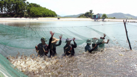 Đánh giá một số chỉ tiêu hóa lý cơ bản trong ao nước nuôi tôm ở huyện Cần Giờ