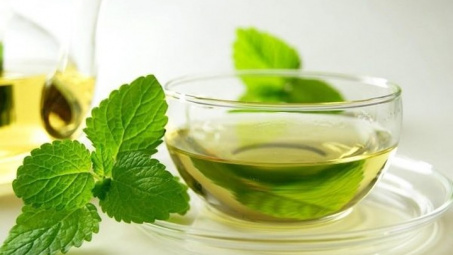 Khảo sát quá trình chế biến trà túi lọc bạc hà (Mentha piperita L.)