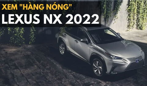 Lexus NX2022 ra mắt: Rất nhiều điểm mới