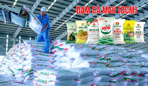Đạm Cà Mau (DCM ): Đẩy mạnh xuất khẩu, chiếm 18% tổng lượng phân bón xuất khẩu cả nước