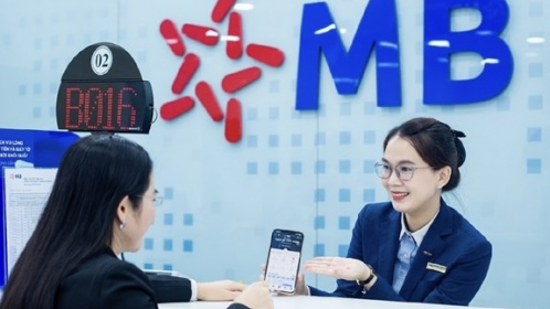 Ngân hàng MB ký kết thành công hợp đồng khoản vay hợp vốn xanh đầu tiên trị giá 500 triệu USD