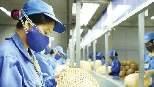 Hướng dẫn mới về quản lý, sử dụng kinh phí khuyến công