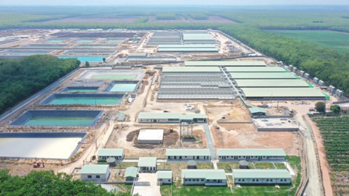 BAF Việt Nam (BAF): Kỳ vọng lãi năm nay tăng gấp 8 lần, sắp khơi công “siêu” dự án 12.000 tỷ