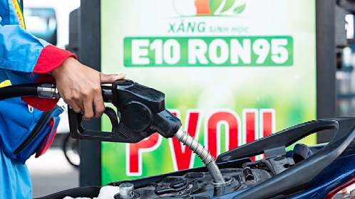Kỳ điều hành giá xăng dầu ngày 11/6/2026: Xăng E5RON92 tiếp tục giảm về mức 21.332 đồng/lít