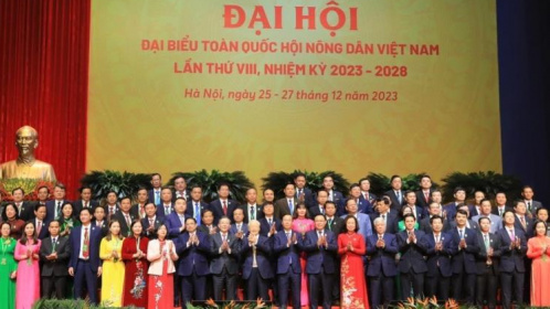 Đổi mới toàn diện, nâng cao vị thế tổ chức Hội Nông dân Việt Nam