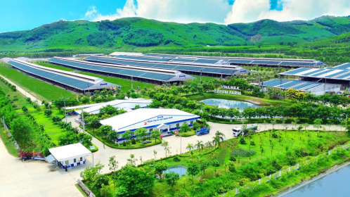 Sản xuất và tiêu dùng bền vững: Từ chính sách đến hành động