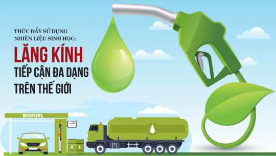 Thúc đẩy sử dụng nhiên liệu sinh học: Lăng kính tiếp cận đa dạng trên thế giới