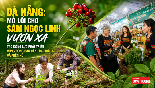 [eMagazine] Đà Nẵng: Mở lối cho Sâm Ngọc Linh vươn xa, tạo động lực phát triển vùng đồng bào dân tộc thiểu số và miền núi