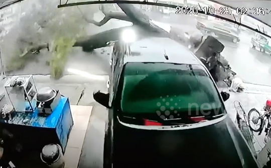 Cây cổ thụ bật gốc trong bão Molave đè nát ô tô Hilux