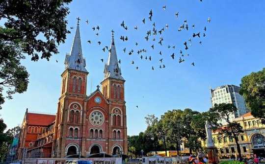 Biển số xe của TP Hồ Chí Minh gồm những đầu số nào?