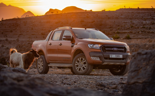 Ford Motor công bố kế hoạch trung hòa carbon trước năm 2050