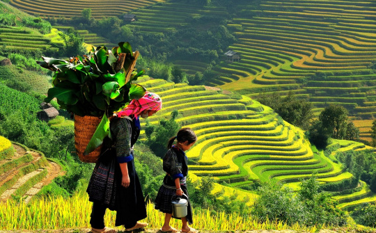 Biển số xe 24 là của tỉnh nào?