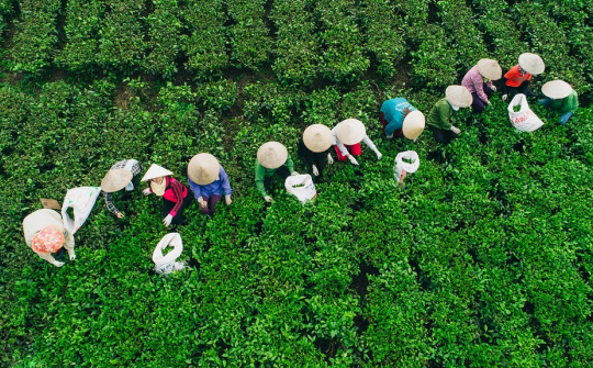 Biển số xe 20 là của tỉnh nào?