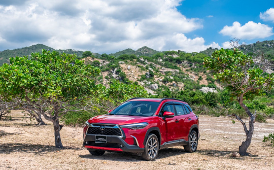 Top 10 xe bán chạy nhất Việt Nam tháng 11/2021: Accent biến mất khỏi bảng xếp hạng