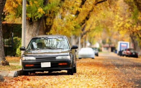 Cách bảo vệ xe ô tô trong mùa thu