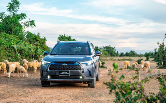 "Điểm mặt" các ông vua của từng phân khúc tại Việt Nam tháng 3/2022