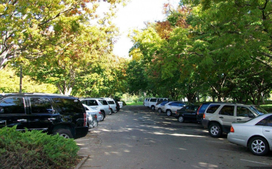 Các biện pháp đơn giản bảo vệ cho ô tô vào mùa hè