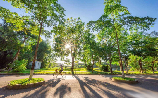 Vingroup hợp tác để cải thiện chất lượng không khí