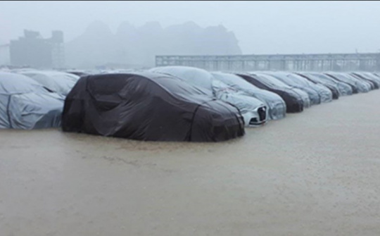 Kinh nghiệm từ A-Z để bảo vệ ô tô của bạn khi bão đổ bộ