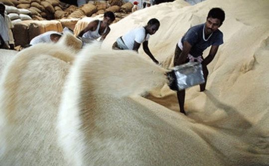 Tuần qua, giá gạo tại Ấn Độ tiếp tục đà tăng liên tiếp