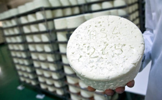 Hiệp định thương mại tự do EU-Nhật Bản được nghị viện Châu Âu phê chuẩn