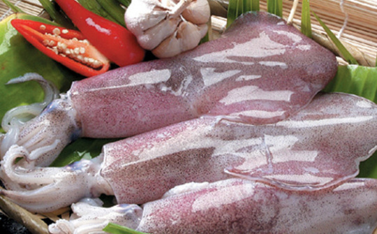 Hàn Quốc là thị trường tiêu thụ mực, bạch tuộc lớn nhất của Việt Nam