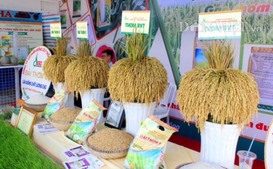 Việt Nam chính thức có logo thương hiệu gạo quốc gia