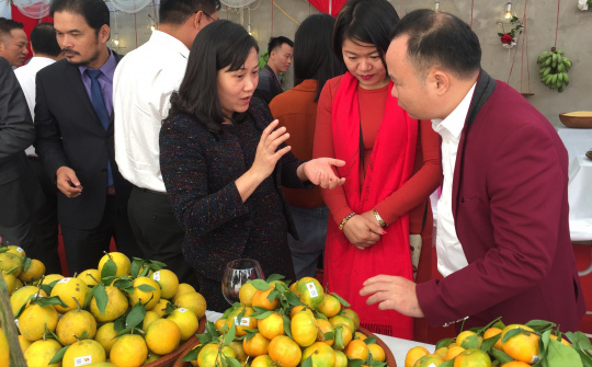 Bắc Kạn: Đưa sản phẩm nông sản chủ lực đến với người tiêu dùng Thủ đô