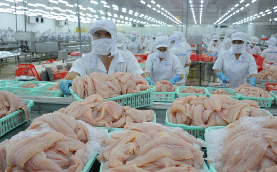 Xuất khẩu thủy sản “cán đích” 9 tỷ USD
