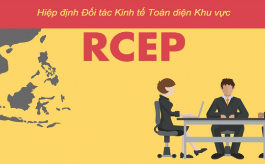 Ấn Độ chuẩn bị đàm phán song phương với một số thành viên RCEP