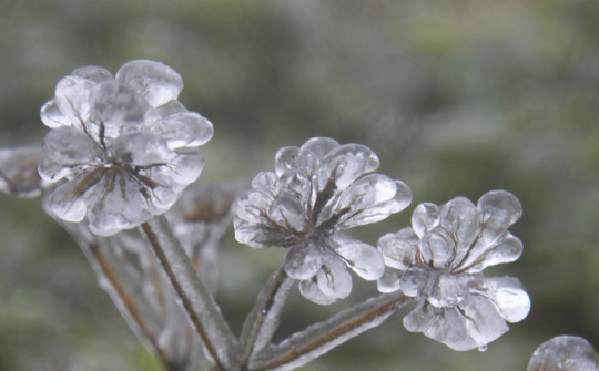 Băng dày 5 cm bao phủ đỉnh Mẫu Sơn