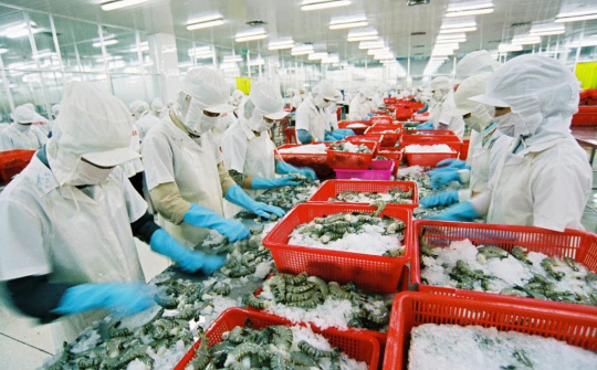 Tổng quan tình hình xuất khẩu tôm của Việt Nam vào thị trường Nhật Bản