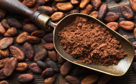 Một năm ngọt ngào của thị trường ca cao