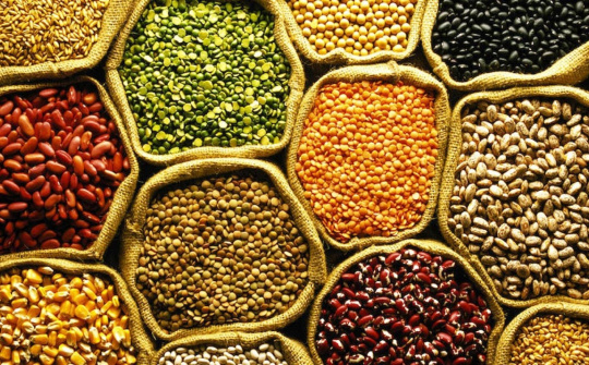 Nông sản 10/1/2019: Cà phê arabia chạm mức cao nhất 5 tuần; Giá đậu tương được hạn chế giảm