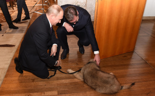 Tin ảnh: Putin rất thích nuôi chó