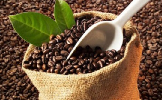 Xuất khẩu cà phê cán mốc 3,5 tỷ USD trong năm 2018