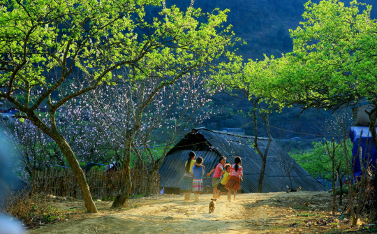 Quy hoạch chung xây dựng Khu du lịch quốc gia Mộc Châu