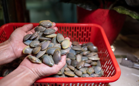 Thêm 3 loại thủy sản Việt Nam rộng đường vào Trung Quốc