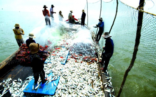 Tổng sản lượng thủy sản 9 tháng đầu năm đạt gần 6.000 nghìn tấn