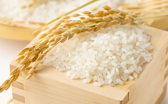 Dự báo Philippines sẽ giảm 23% lượng gạo nhập khẩu trong năm 2020