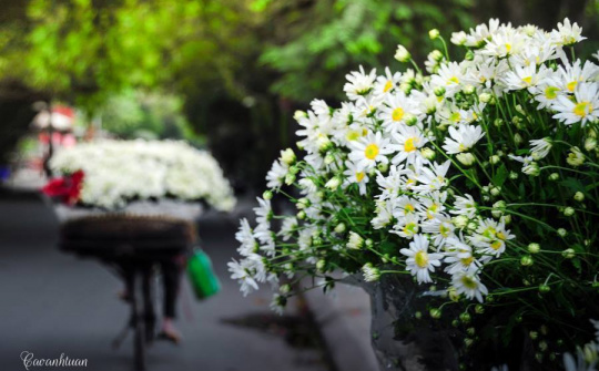 Thời tiết 27/10: Thời tiết đầu đông quá đẹp để đi "săn ảnh" đẹp - độc - lạ