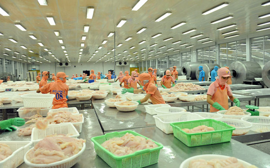 9 tháng, xuất khẩu cá tra sang Nhật Bản tăng gần 3%