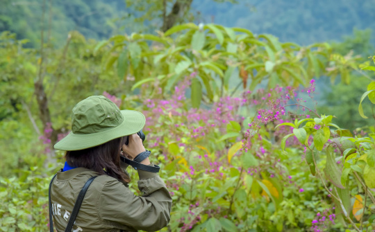 Bản Khoang - Đêm không ngủ