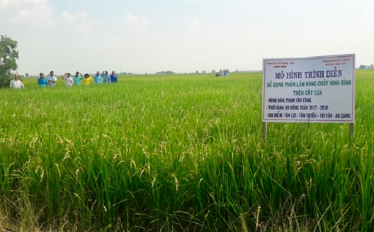 Vì sao chuyên gia khuyến cáo nên sử dụng FMP Ninh Bình khi vựa lúa lớn nhất cả nước không có lũ?