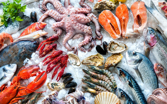 Ngành thủy sản đón tin vui: Hơn 600 doanh nghiệp được phép xuất khẩu sang Đài Loan (Trung Quốc)