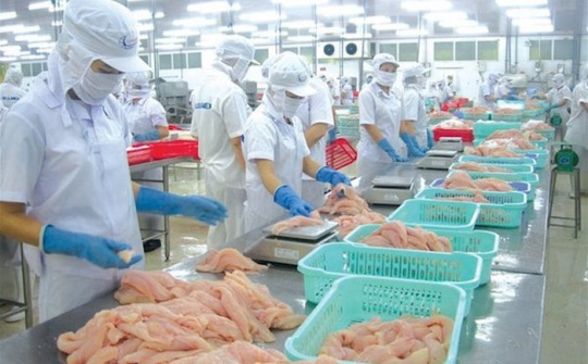 Dự báo xuất khẩu cá tra sang Mexico khó tăng trong quý cuối năm